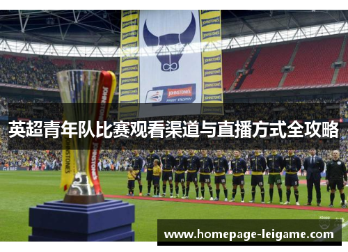 英超青年队比赛观看渠道与直播方式全攻略