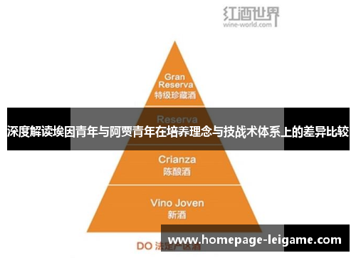 深度解读埃因青年与阿贾青年在培养理念与技战术体系上的差异比较