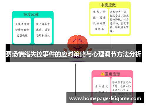 赛场情绪失控事件的应对策略与心理调节方法分析