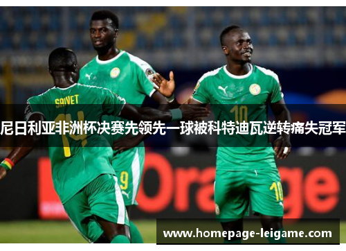 尼日利亚非洲杯决赛先领先一球被科特迪瓦逆转痛失冠军 尼日利亚非洲杯决赛先领先一球被科特迪瓦逆转痛失冠军