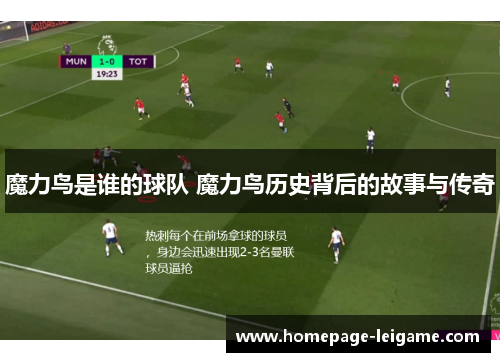 魔力鸟是谁的球队 魔力鸟历史背后的故事与传奇