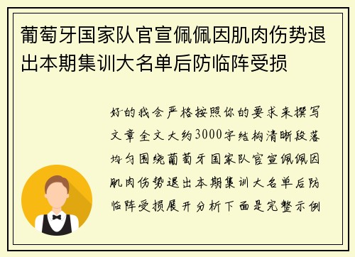 葡萄牙国家队官宣佩佩因肌肉伤势退出本期集训大名单后防临阵受损